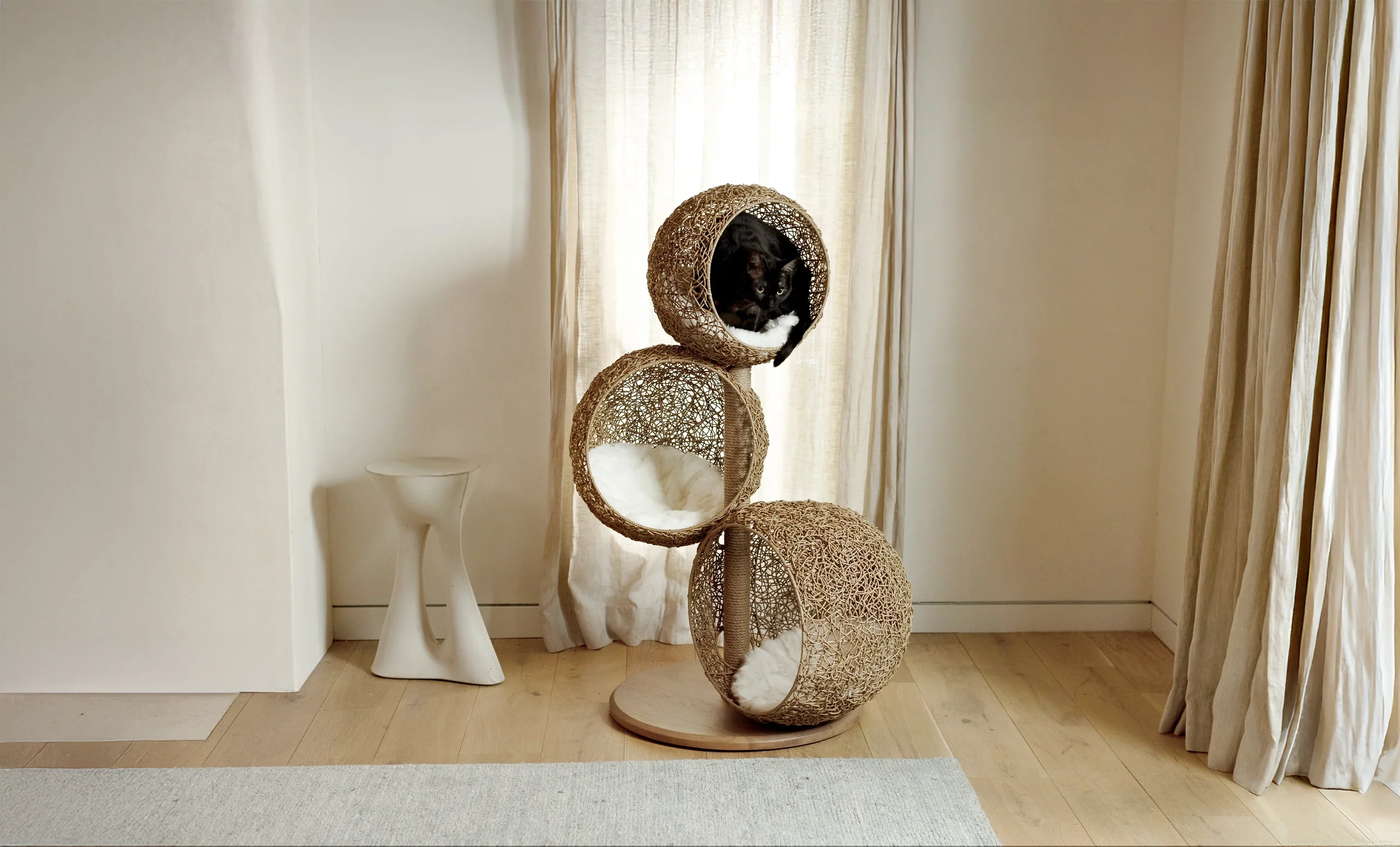 Modern Luxury for Your Cat